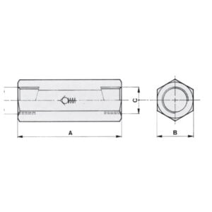 Check Valves