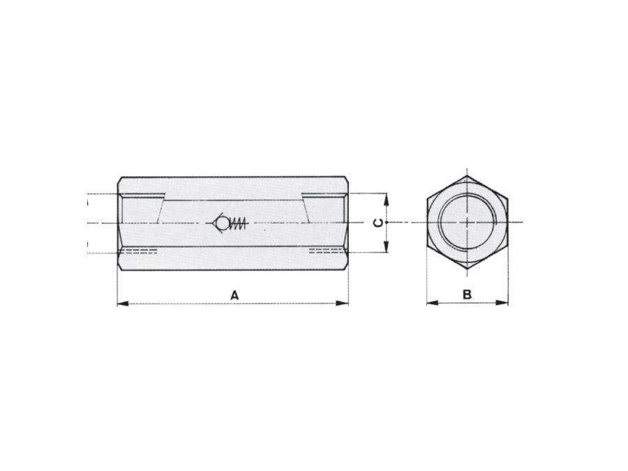 Check Valves