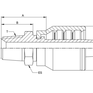 BSPT MALE STRAIGHT