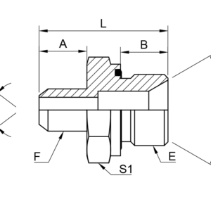 BSPP MALE x JIC MALE