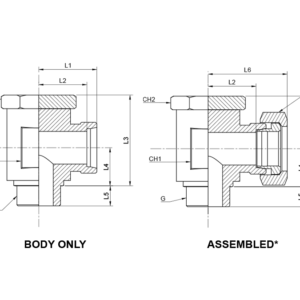 DSVW Banjo Coupling BSPP