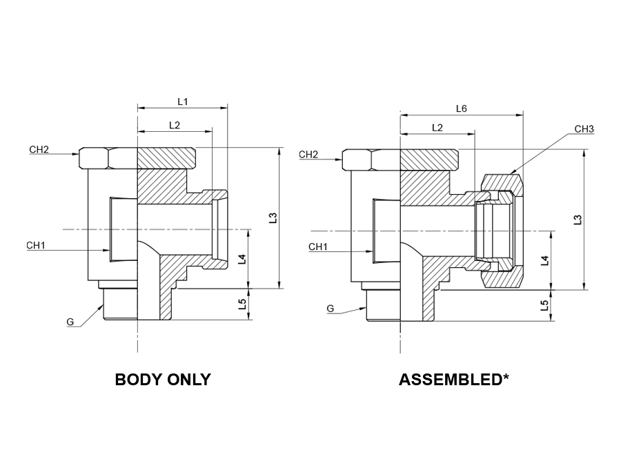 DSVW Banjo Coupling BSPP