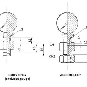 Gauge Coupling Male Metric