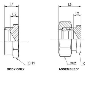 Blanking Plug for Tube Ends (Standpipe End Plug)